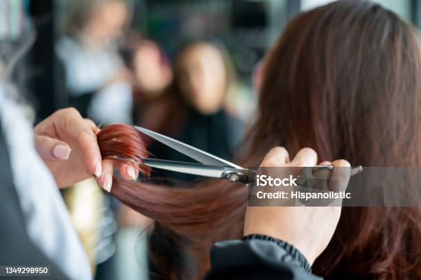 Close Up Of Unrecognizable Hairdresser Cutting A Female Customerâs Hair Stock Photo - Download Image Now