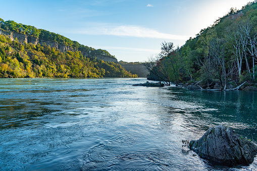 The Verde River in central Arizona and Cottonwood trees along the bank