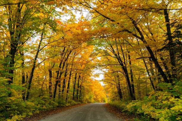 istock Fall colors at Pathfinder Island and Source Lake, Algonquin Provincial Park, Canada 1349303762