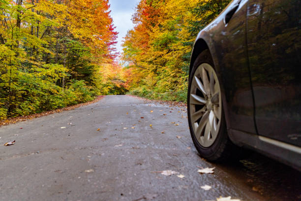 istock Fall colors at Pathfinder Island and Source Lake, Algonquin Provincial Park, Canada 1349303818
