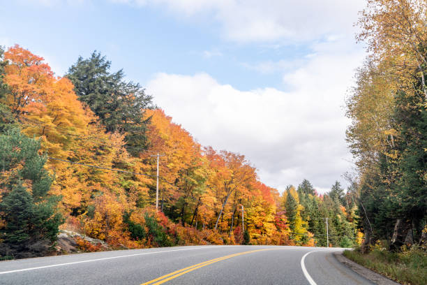 istock Fall colors Algonquin Provincial Park, Ontario, Canada 1349304397