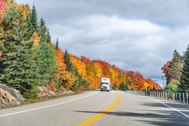 istock Fall colors Algonquin Provincial Park, Ontario, Canada 1349304416