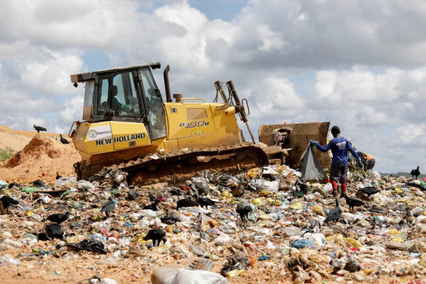 "odsiew materiału do recyklingu na składowisku - odsiew zdjęcia i obrazy z banku zdjęć