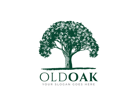 Vintage Old Oak Maple Tree symbol design