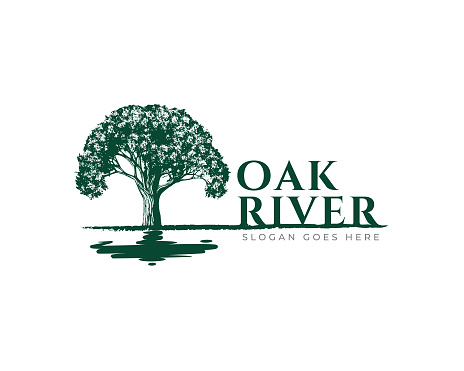 Oak Tree symbol design vector template.tree and lake river water reflection