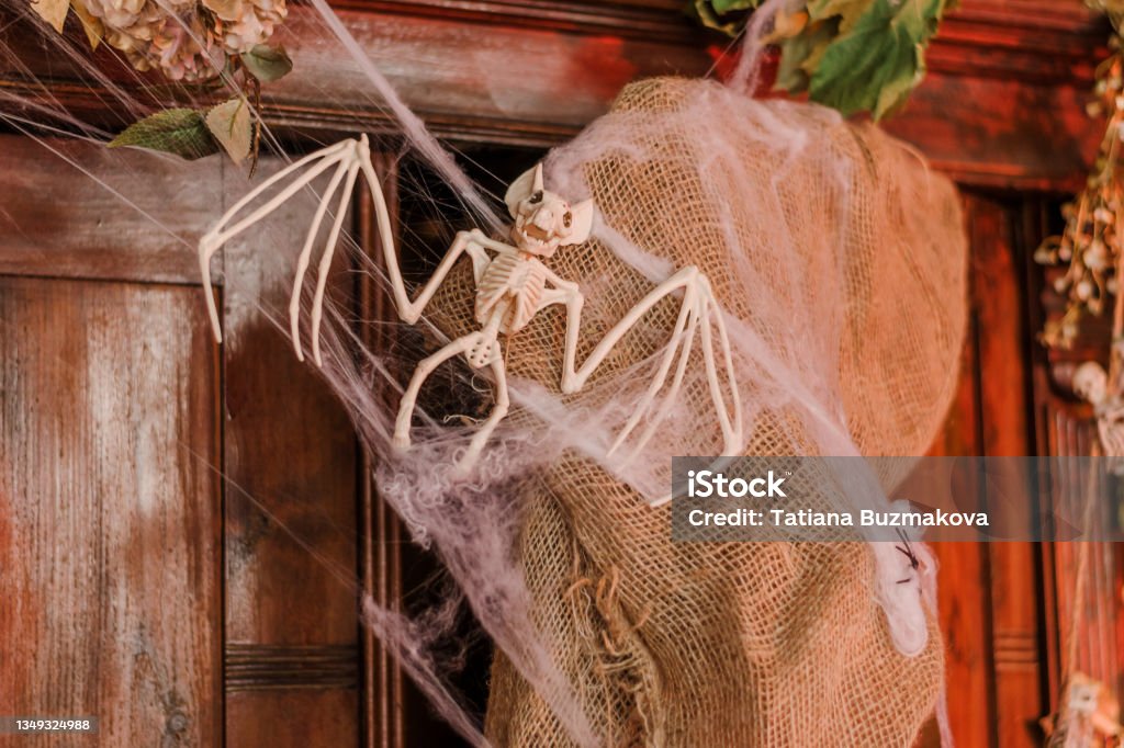 A bat skeleton and a spider web on an old wooden cabinet.Festive holiday decorations.Halloween concept. A bat skeleton and a spider web on an old wooden cabinet.Festive holiday decorations.Halloween concept.Copy space for text,selective focus. Decoration Stock Photo