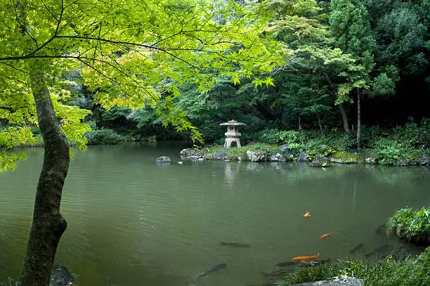 Photo of Japanese Garden and scarps on the pond.