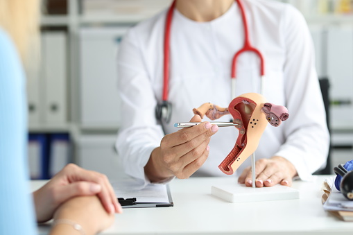 Gynecologist shows patient work on training model of female reproductive system. Gynecologist consultation and woman diseases concept