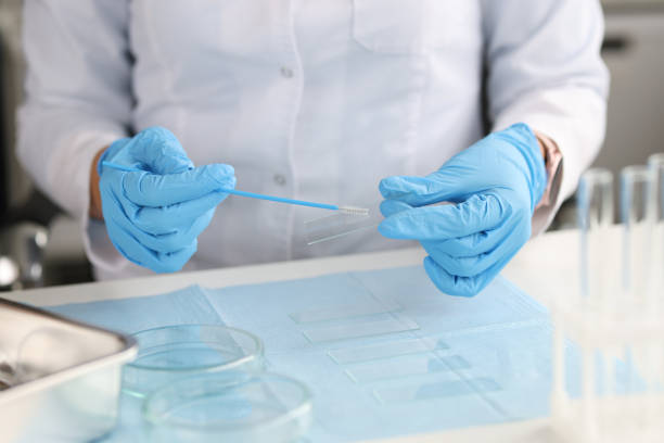 врач в перчатках держит щетку для мазков и стекла в лаборатории - sample collection стоковые фото и изображения