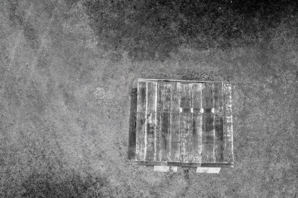 Black and white image of an aerial landscape over an old rusting hut amongst trees