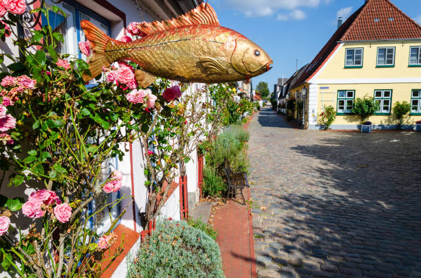 casas históricas en el pueblo pesquero de holm en schleswig, alemania - schleswig fotografías e imágenes de stock