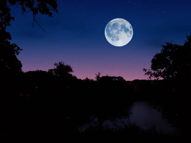 istock Moonrise over a lake in the forest 1349333676