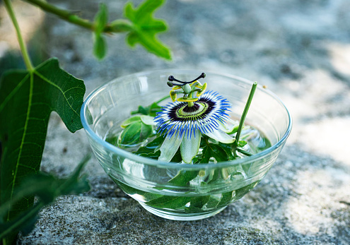 passion flower in water for making plant tincture