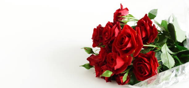 istock Red roses bouquet isolated on white background with copy space. Banner. 1349340003