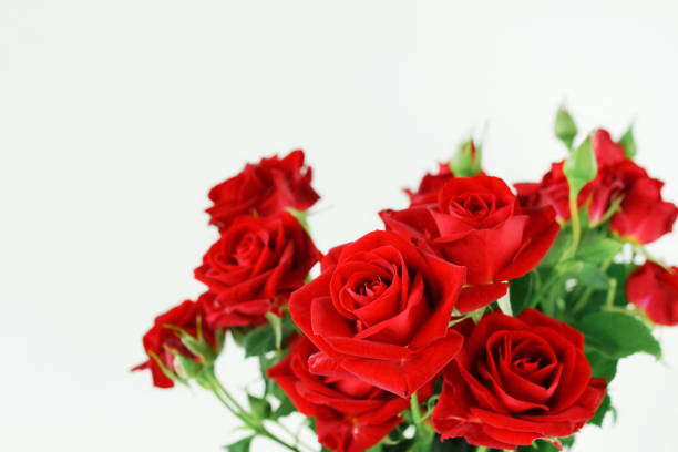 istock Red roses bouquet isolated on white background with copy space. 1349340306