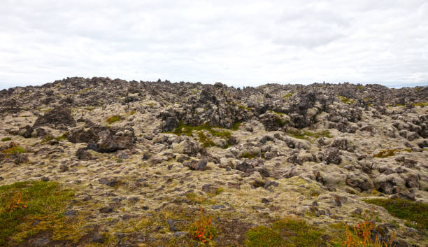 istock Old lava field covered with green moss, west Iceland 1349340395