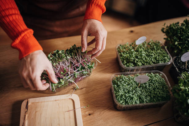 istock Mature woman nurturing plants 1349343189