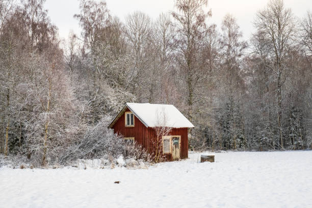 istock Old abandoned red shed by the forest in winter 1349344121