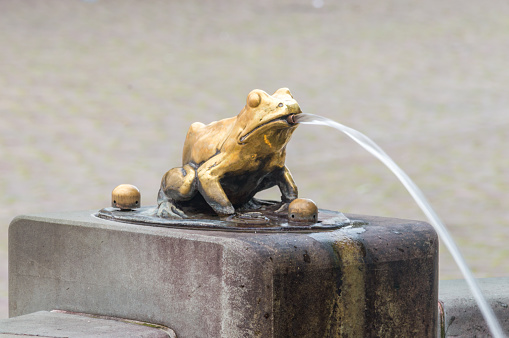 Brass frogs at water fountain in Torun.