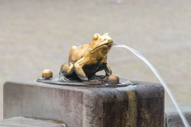 Photo of Brass frogs at water fountain in Torun.