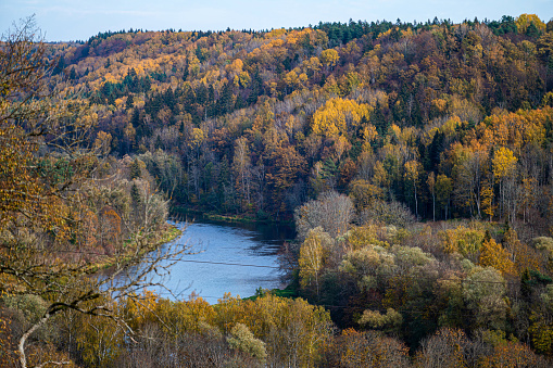 aerial view on the river Gauja, which meanders through the autumn forest, Sigulda, Latvia
