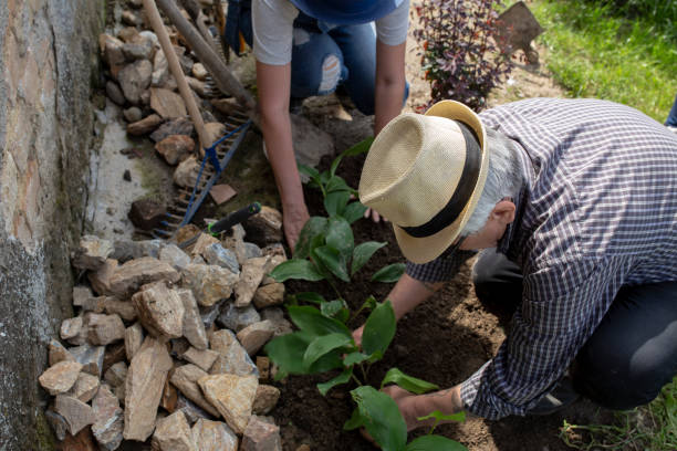 istock Senior couple gardening, 1349348202
