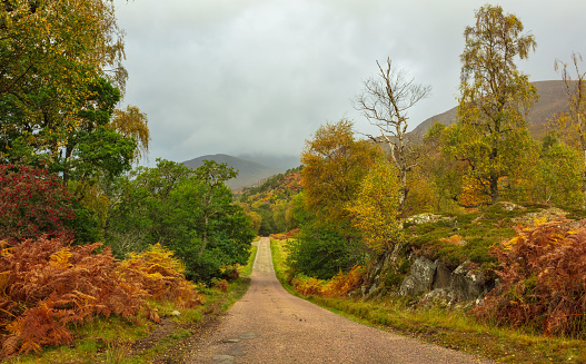 Glen Strathfarrar in Autumn with single track road, misty mountains, golden bracken and colourful Silver Birch, rowan and Oak trees.  Struy near Beauly, Scottish Highlands,  Copy Space, landscape.