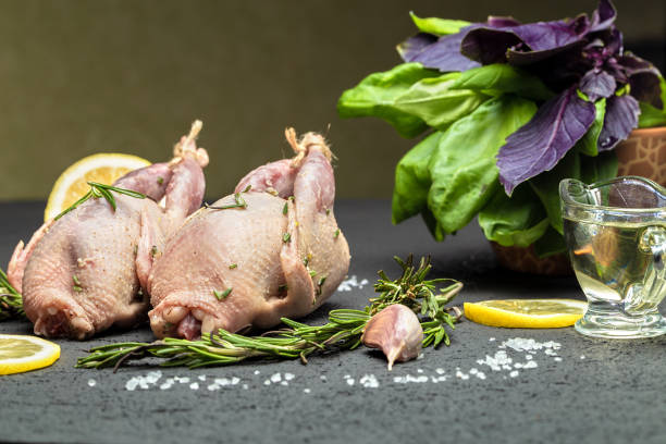 codornices de carne cruda fresca con hierbas y verduras de romero, albahaca lista para cocinar en primer plano. codorniz cruda. cocinar carne de ave. - unready fotografías e imágenes de stock