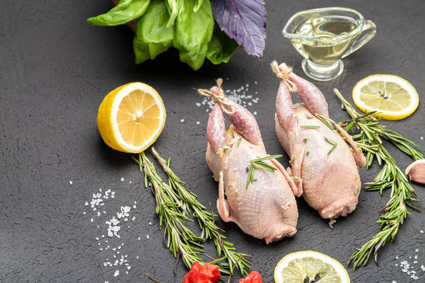 cailles de viande crue fraîche avec des herbes et des légumes verts romarin, basilic prêt à cuire en gros plan. caille non cuite. cuisson de la viande de volaille. - unready photos et images de collection