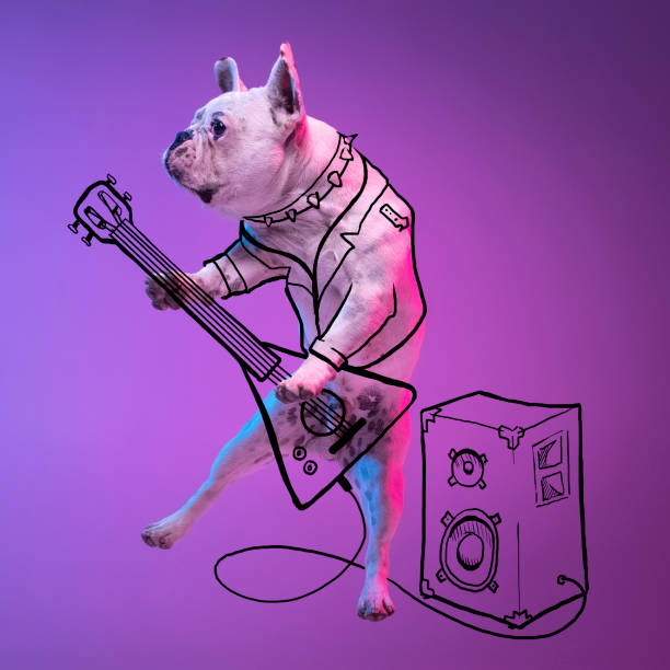 638 Simple Dog Drawing Pictures Stock Photos, Pictures & Royalty-Free Images - iStock 638 Simple Dog Drawing Pictures Stock Photos, Pictures & Royalty-Free Images - iStock