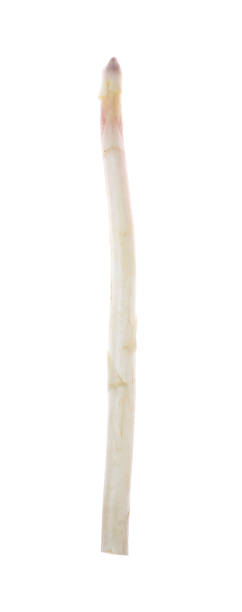 istock Fresh ripe raw asparagus isolated on white 1349351497