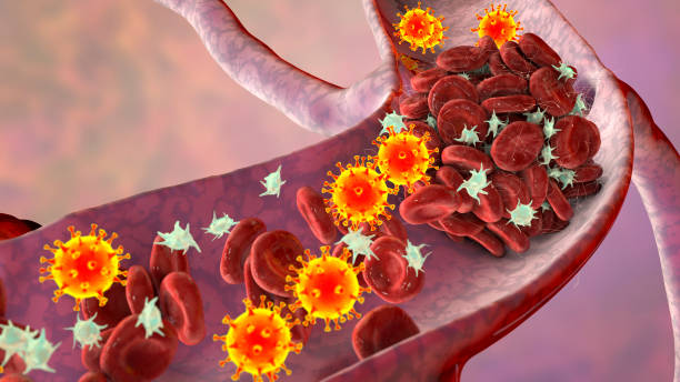 COVID-19 virus particles and activated platelets in blood stream stock photo