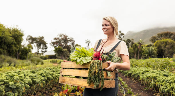 istock Young female farmer holding a box with fresh vegetables 1349351890