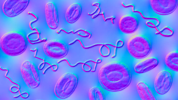 borrelia bacteria in blood, 3d illustration. the causative agent of lyme disease and relapsing fever - lyme disease imagens e fotografias de stock