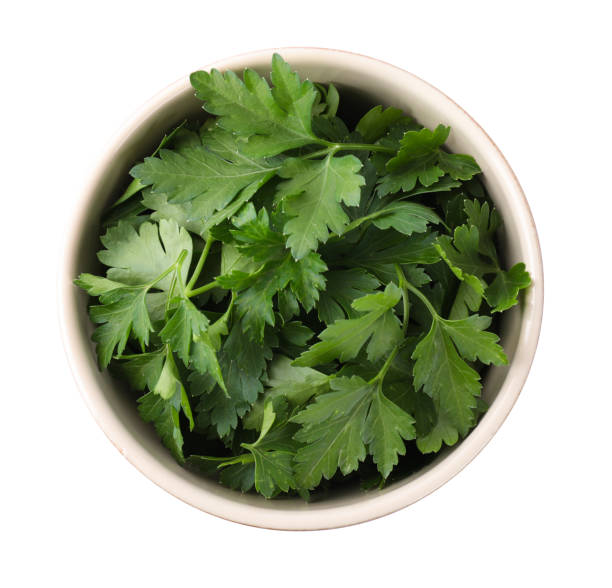 istock Fresh green parsley in bowl isolated on white, top view 1349355943