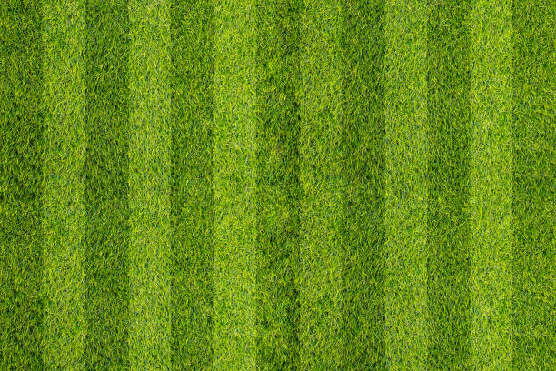 istock stripe grass soccer field. Green lawn 1349356272