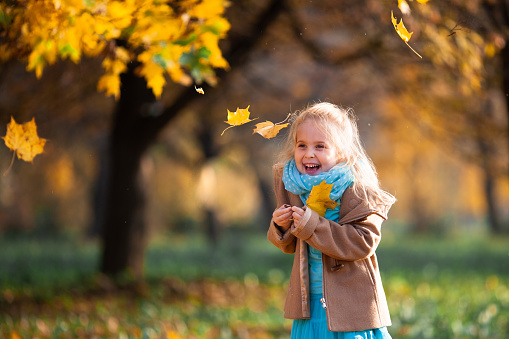 Positive little blond girl playing in the autumn park. Happy emotional child catching maple leaves and laughing. Outdoor activities in autumn. Fall of the leaves.