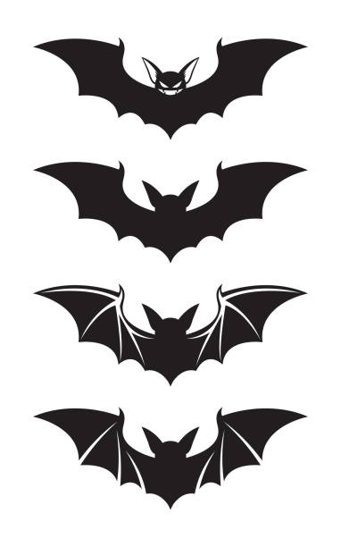 ilustraciones, imágenes clip art, dibujos animados e iconos de stock de conjunto de siluetas de murciélagos - bat halloween silhouette wing