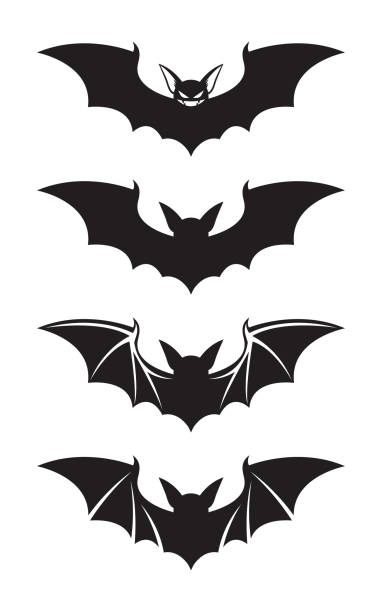 illustrations, cliparts, dessins animés et icônes de ensemble de silhouettes de chauves-souris - bat halloween silhouette wing