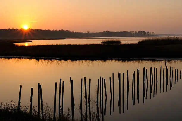 Photo of Sunrise at Wildlife Refuge