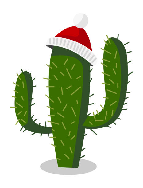 istock Cactus in winter hat. Christmas succulent in cartoon style 1349357828