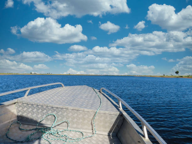 aluminum boat sailing on the chobe river stock photo