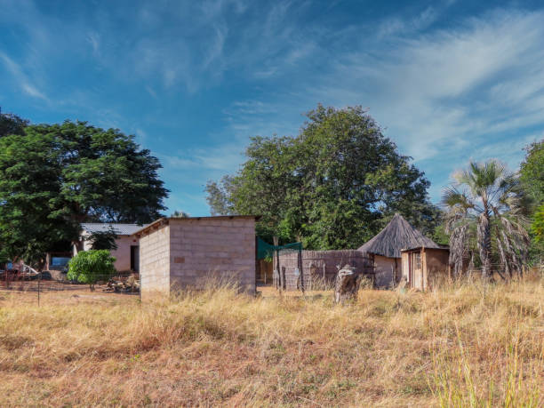 istock Traditional  African houses 1349366332