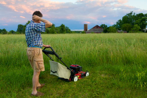 Man is tasked to mow a field of tall grass