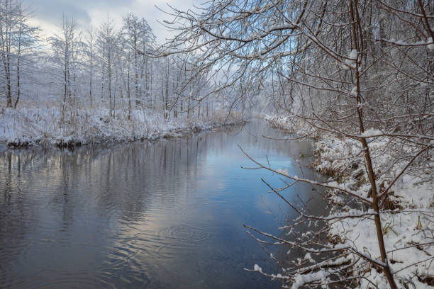 istock Small river running through the snowy forest 1349367844