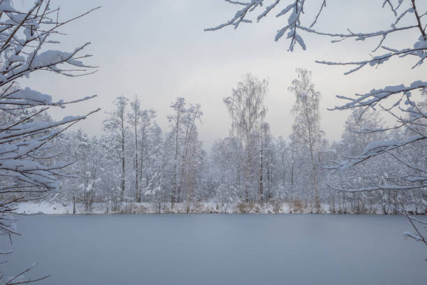 istock Frozen lake surrounded by snowy trees in the forest 1349368033