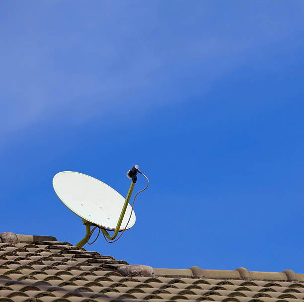 Satellite Satellite dish with sky on roof animal antenna stock pictures, royalty-free photos & images