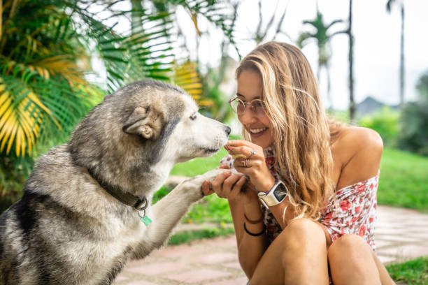 istock Young Woman With Her Dog 1349370411