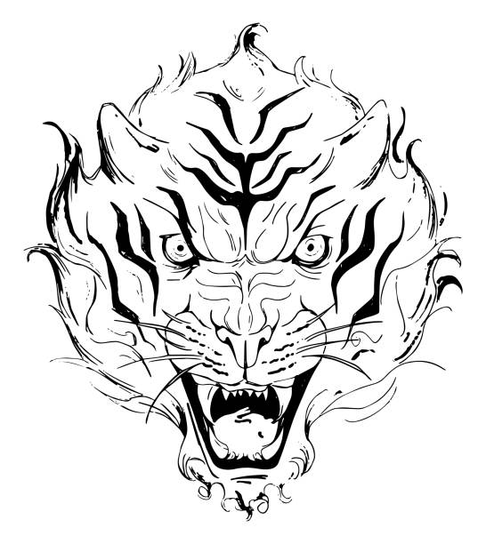 Silhouette Of Japanese Tiger Tattoo Designs Illustrations, Royalty-Free  Vector Graphics & Clip Art - iStock