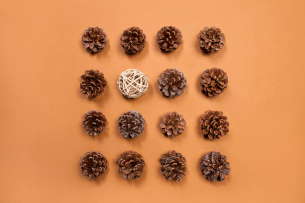 istock Top view pine cones still life over beige background 1349373320